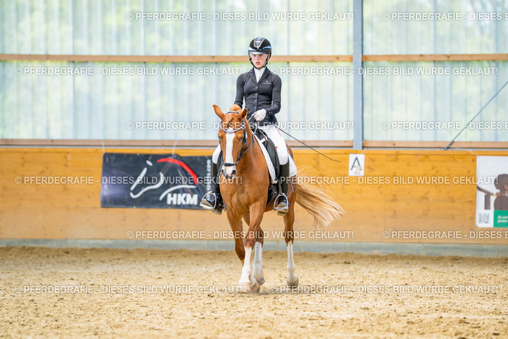 DSC08116 | Pferdegrafie