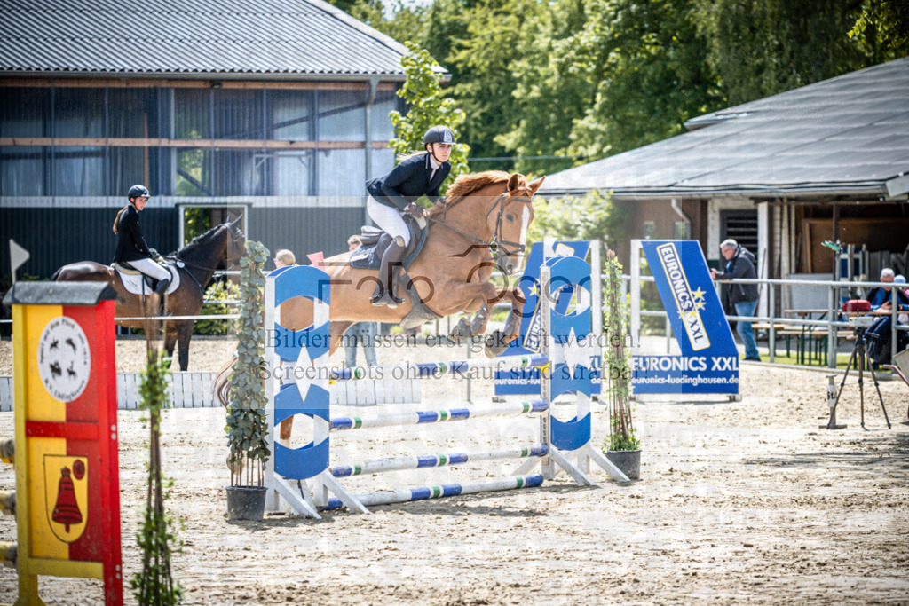 DOS_1585 | Reitturnier Lüdinghausen - Realisiert mit Pictrs.com