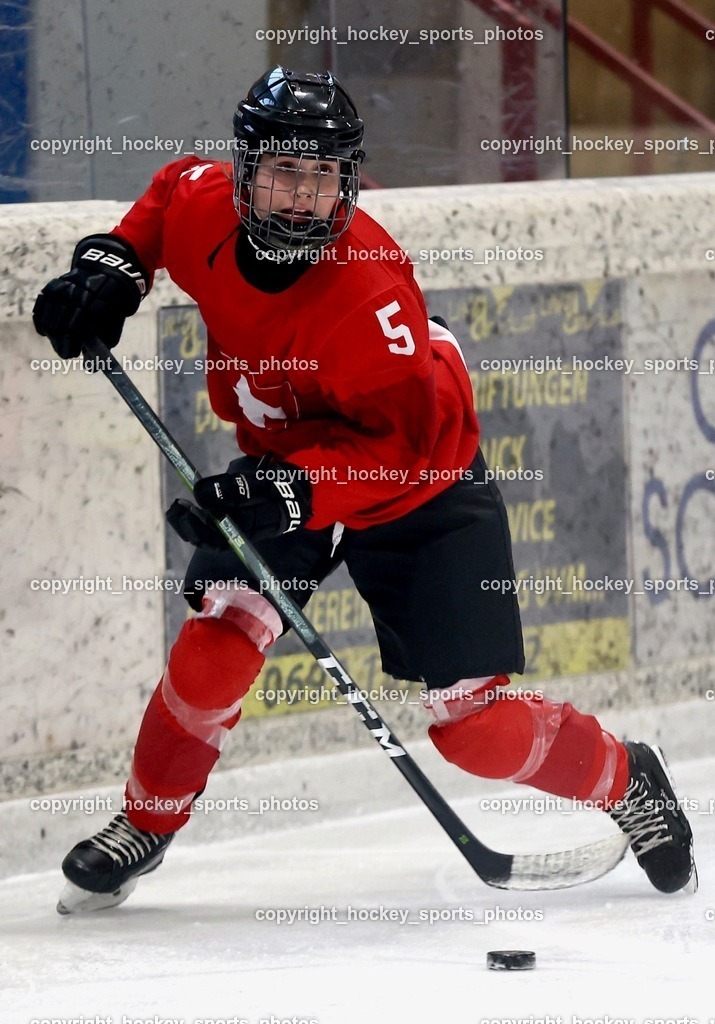 MOWE2162 | hockey sports photos, Pressefotos, Sportfotos, hockey247, win 2day icehockeyleague, Handball Austria, Floorball Austria, ÖVV, Kärntner Eishockeyverband, KEHV, KFV, Kärntner Fussballverband, Österreichischer Volleyballverband, Alps Hockey League, ÖFB, 