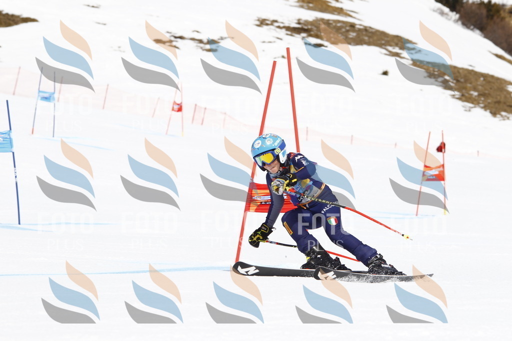 _U3G5911 | holidayphoto