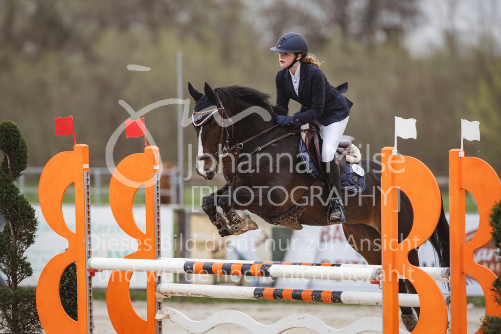 240330_Fruehlingsfest_Stil-A2-1-651 | Deine schönsten Turniermomente als professionelle Fotos! Entdecke hochwertige Pferdesport-Fotografie im Online-Shop. Jetzt Fotos finden & bestellen!