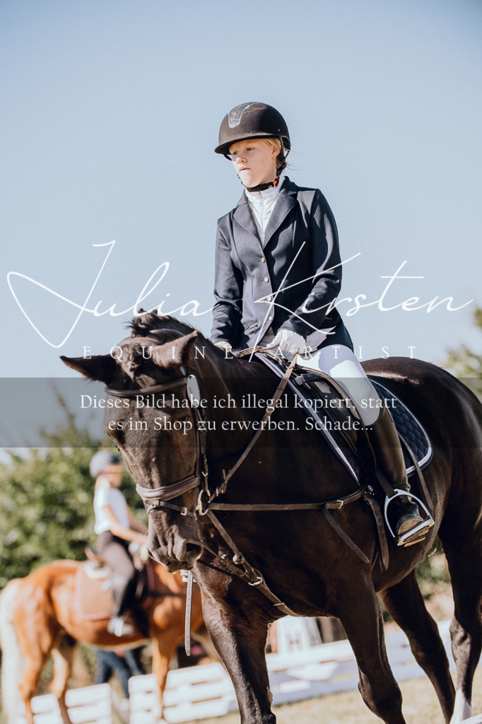 DSC_7254 | Pferde- und Turnierfotografie in Westsachsen. Pferdeportraits, Auftragszeichnungen und intuitive Kunst.