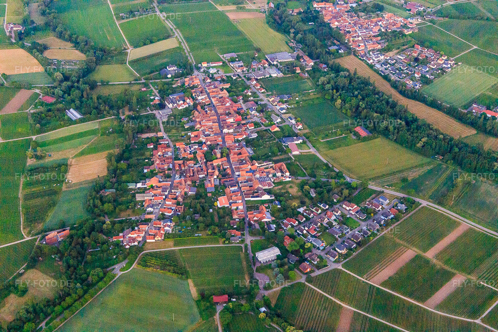 Luftbild: Winzerdorf im Abendlicht aus Westen im Ortsteil Heuchelheim in Heuchelheim-Klingen im Bundesland Rheinland-Pfalz in Deutschland. Foto: IMG_115607.jpg vom 21.06.2019 durch Werner Riehm/FLY-FOTO.de