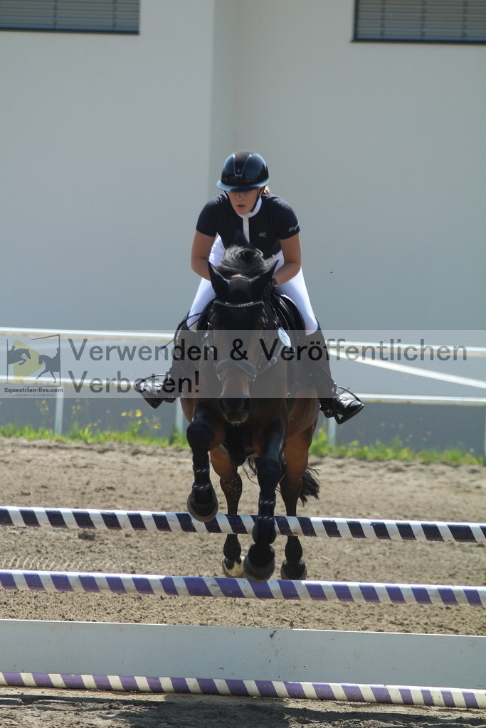 IMG_3469 | equestrian-live-com