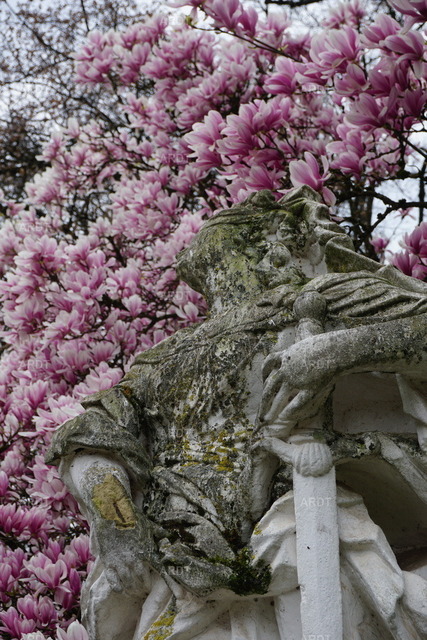 Momente 7 | Palastgarten Trier