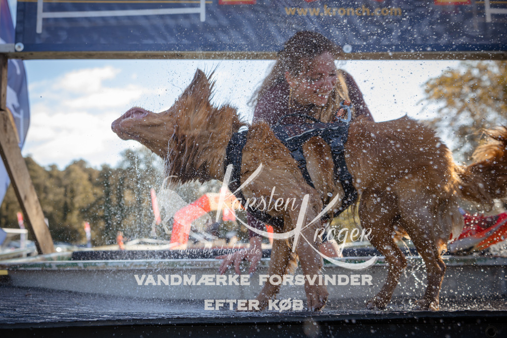 1200_ZZ94221 | kk-dogfotos