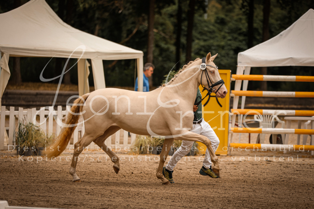 10.-12.Elite00002 | Leoni Ertmer Photography - Realisiert mit Pictrs.com