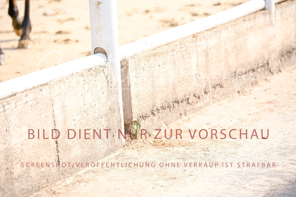 Schugtsche-Aluta25-52.Dressurprf.M2Kand-128 | Schugtsche Fotografie - Realisiert mit Pictrs.com