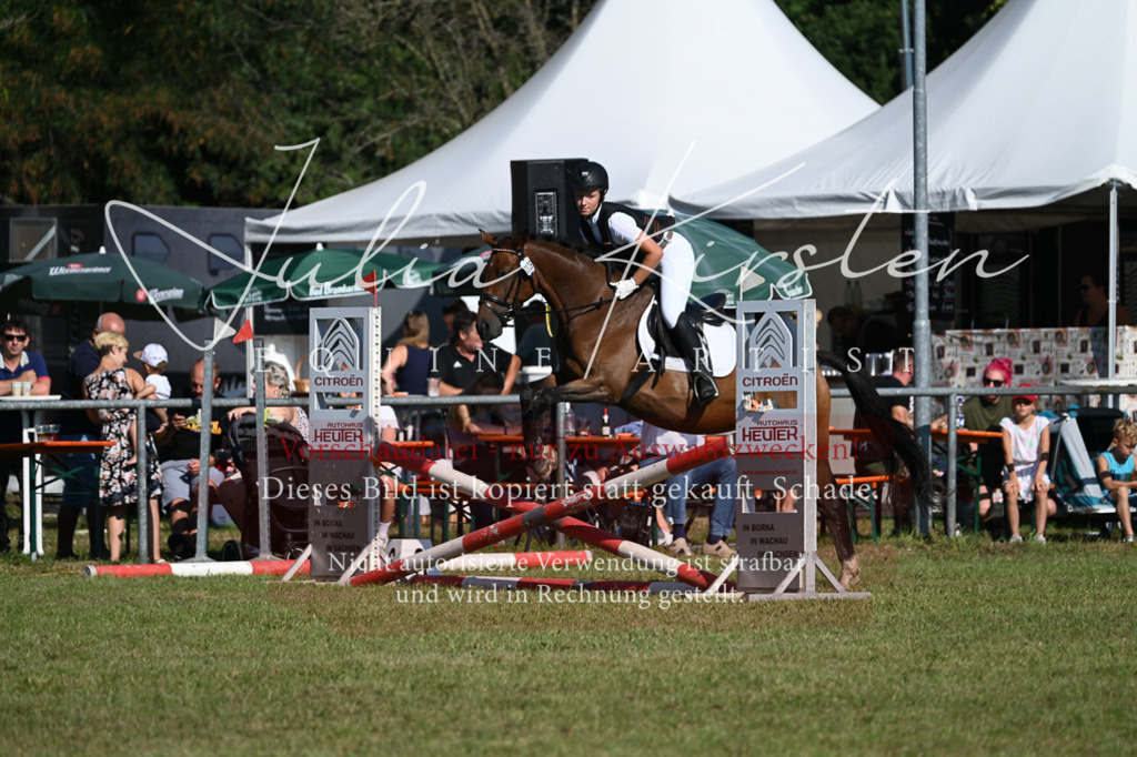 DSC_5311 | Pferde- und Turnierfotografie in Westsachsen. Pferdeportraits, Auftragszeichnungen und intuitive Kunst.