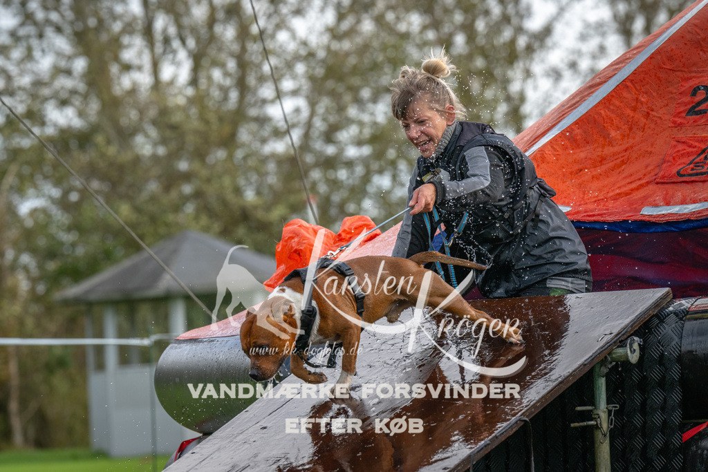 1218-93220 | kk-dogfotos