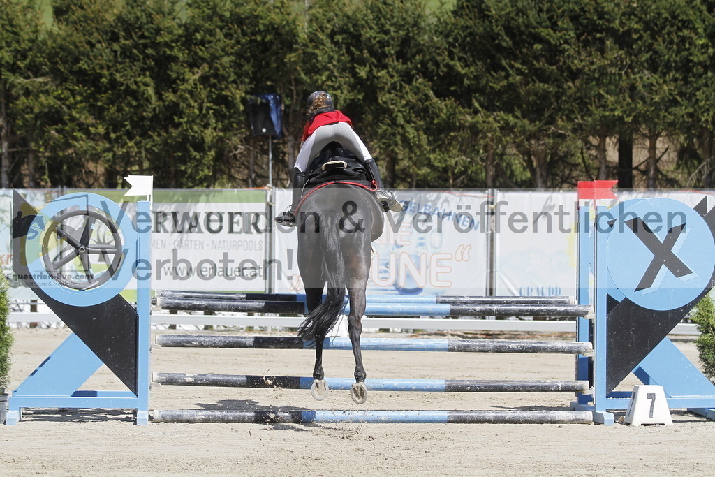 _MG_6492 | equestrian-live-com