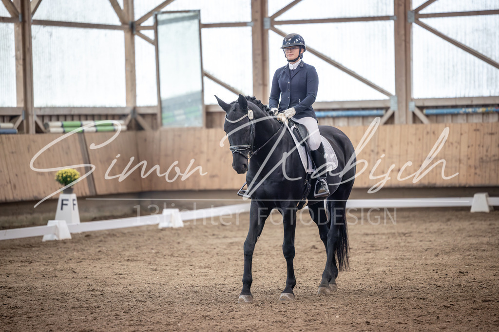 20251011-_3LI0312 | Tierfotografie Pferde, Hunde, Katzen, Haustiere.
Turnierfotografie Reitturniere, Reiten, Springreiten, Dressur in Hanau, dem Main-Kinzig-Kreis und dem Rhein-Main- Gebiet um Frankfurt