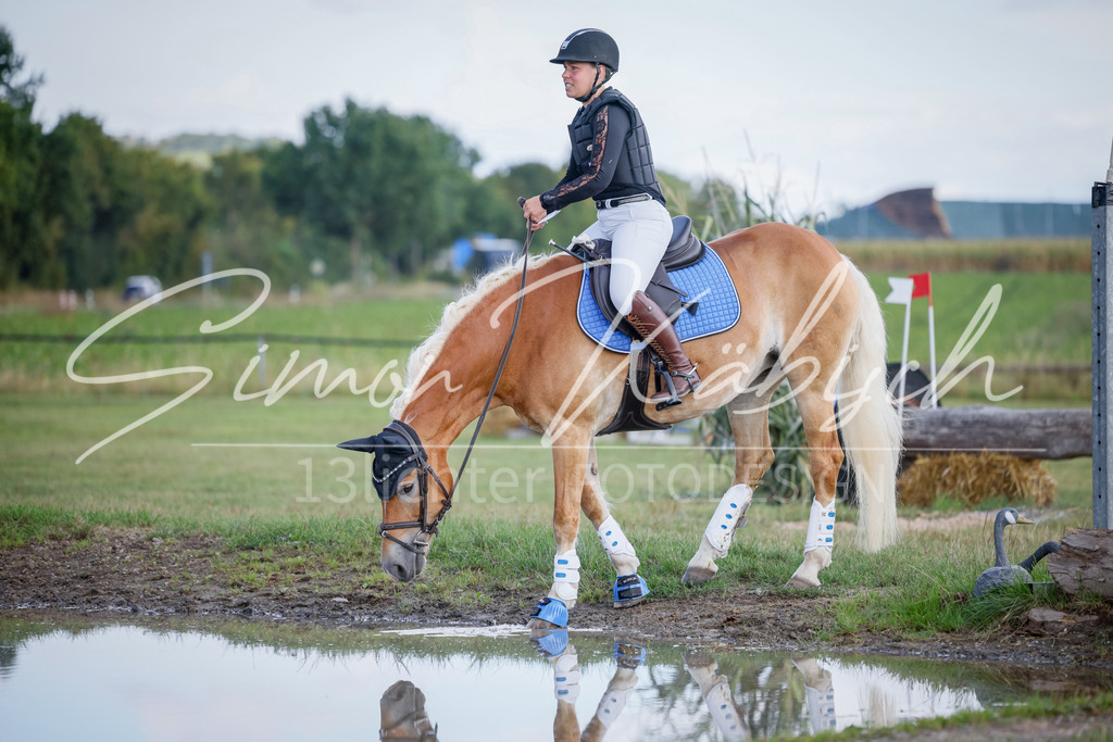 20250905-_3LI0324 | Tierfotografie Pferde, Hunde, Katzen, Haustiere.
Turnierfotografie Reitturniere, Reiten, Springreiten, Dressur in Hanau, dem Main-Kinzig-Kreis und dem Rhein-Main- Gebiet um Frankfurt