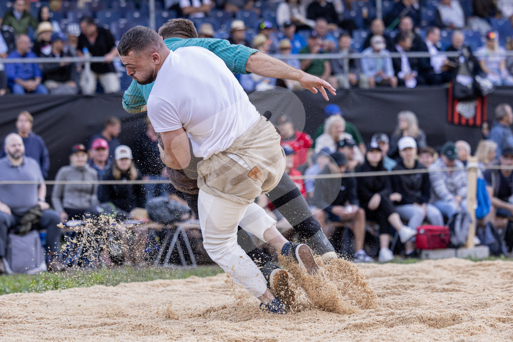 TESSINER2025_01_Gang_9463 | Die Schwinger des Schwyzer Kantonalen Schwingerverbandes: Fotos, die Dynamik und Leidenschaft festhalten, sowie emotionale Momente aus dem traditionellen Schwingsport zeigen. - Realisiert mit Pictrs.com