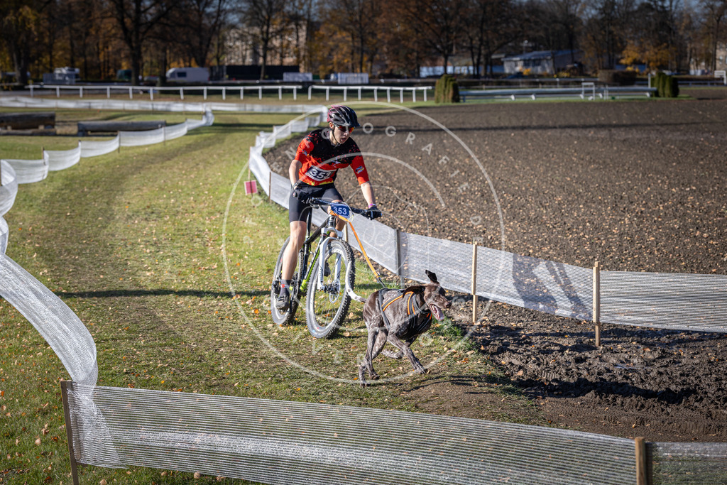 CaniXpix_DV3A7214 | Hundefotografie, Tierfotograf, Pfotenfotografie, Fotoshooting Hund, Hunde Portrait, Hundesport, Hundeportraits, Heideshooting, Hunde, Sportfotograf, Hundefotograf, Turnierhundsport, THS,  - Realisiert mit Pictrs.com