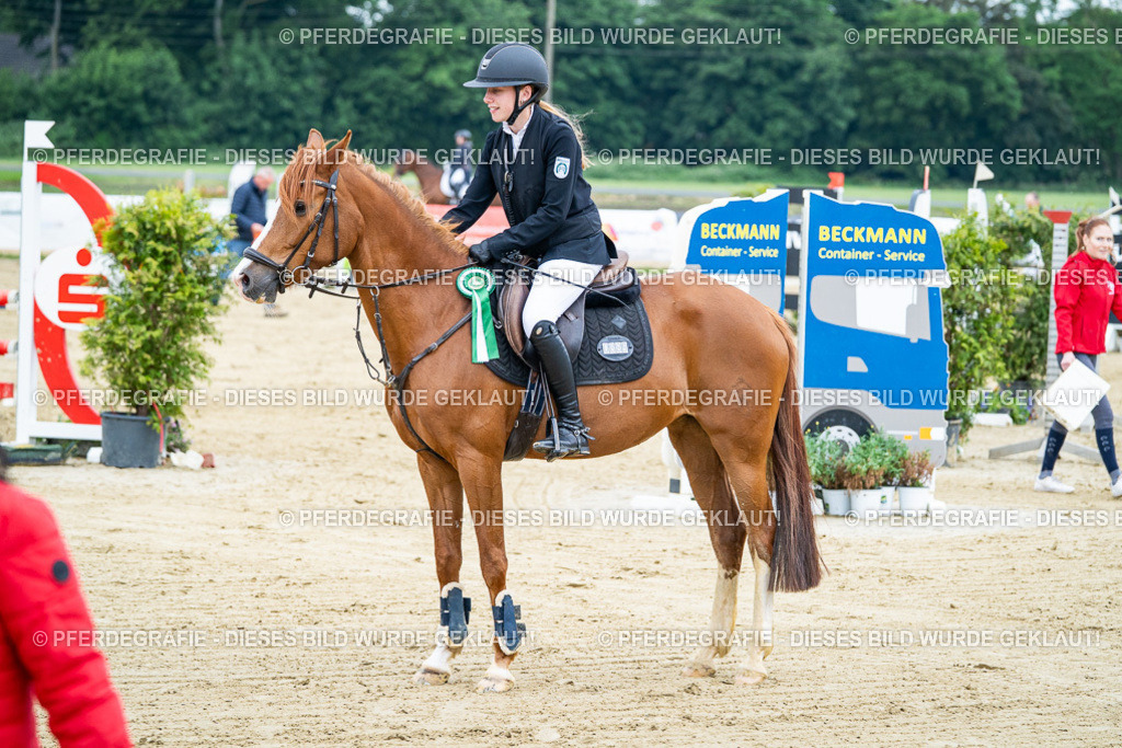 DSC03888 | Pferdegrafie