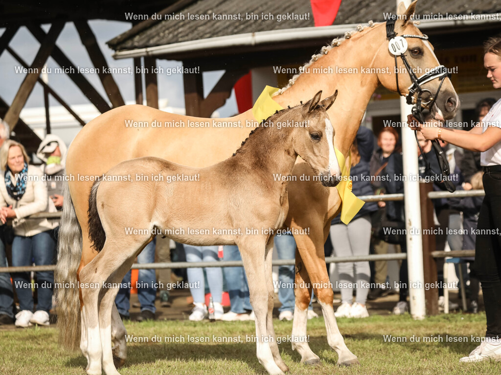 598A2507-2 | photographylinaismer - Realisiert mit Pictrs.com
