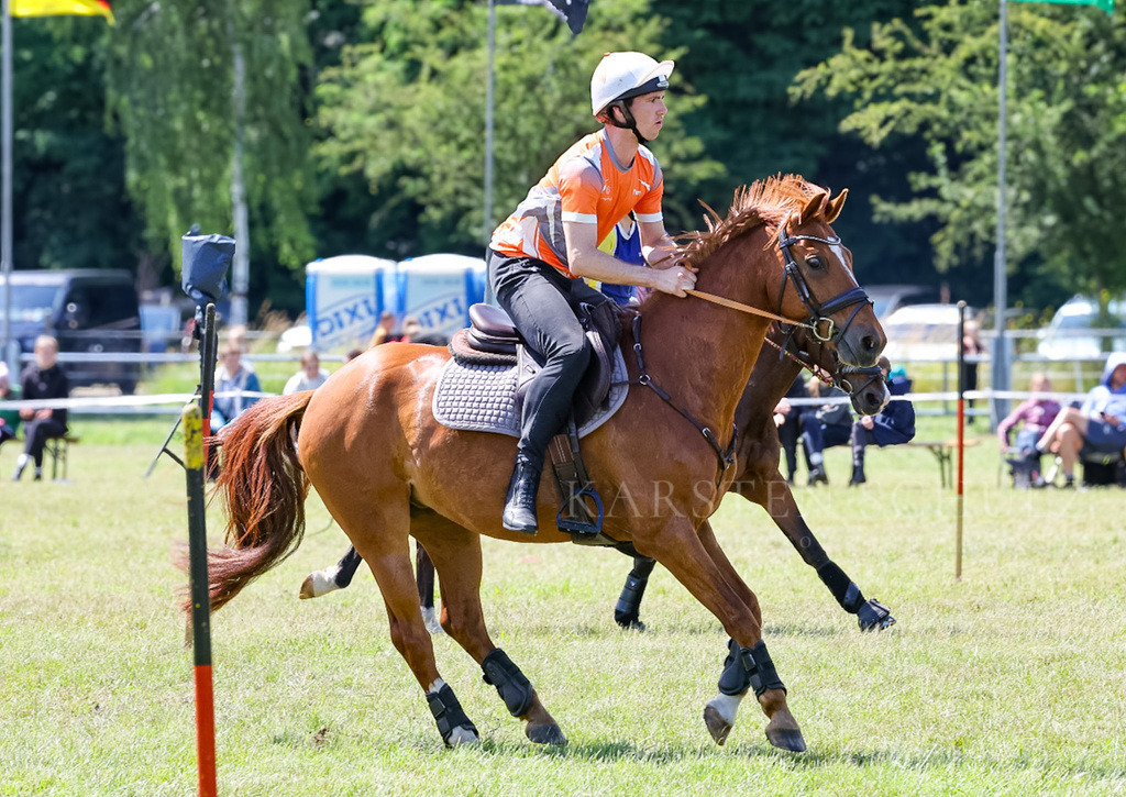 IMG_1619 | Reitsport Reiten