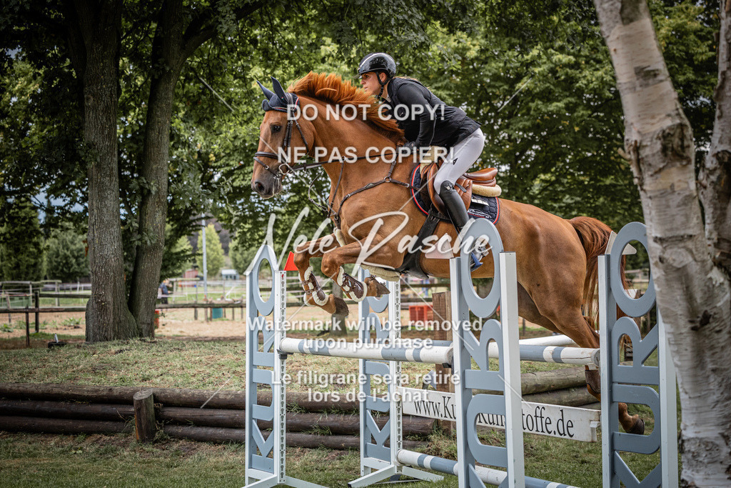 nelerasche_AmmDerbyEde_67 | nelerasche