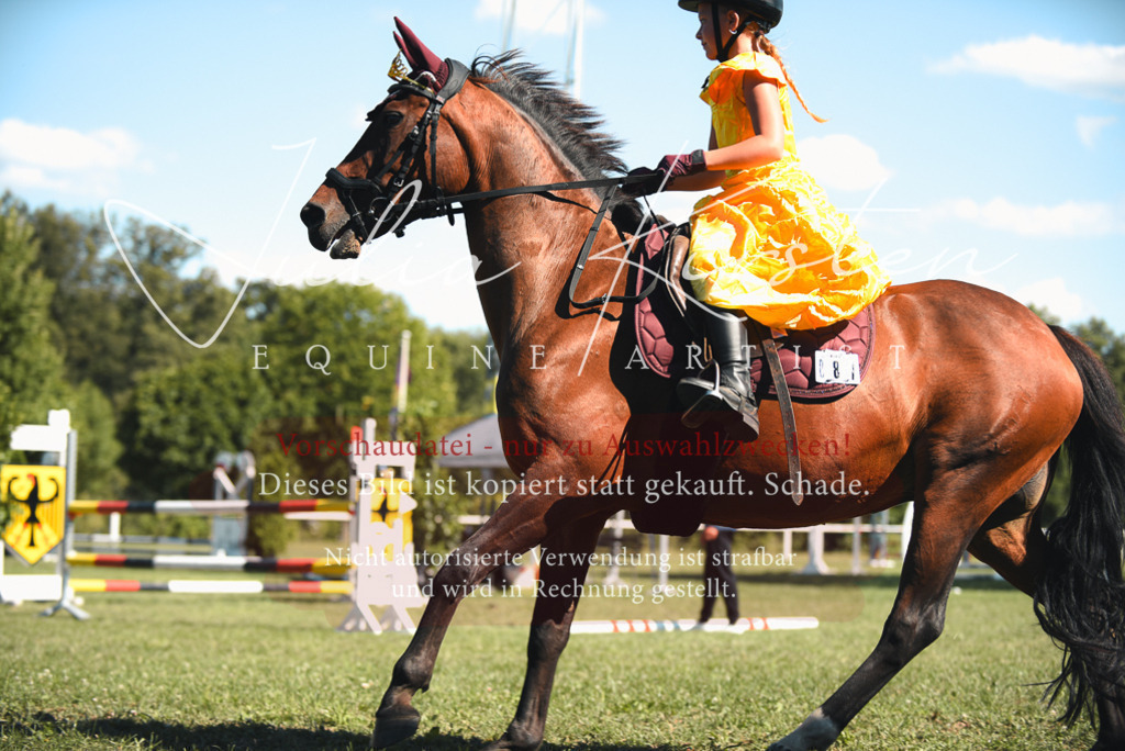 DSC_7517 | Pferde- und Turnierfotografie in Westsachsen. Pferdeportraits, Auftragszeichnungen und intuitive Kunst.