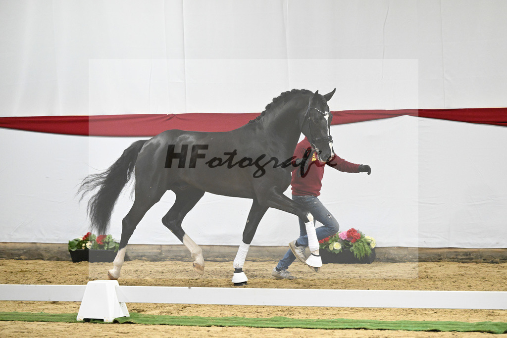 Kat-Nr. 17 v. Sezuan_Logpoint GmbH_63220486 | hf-fotografie - Realizzato con Pictrs.com