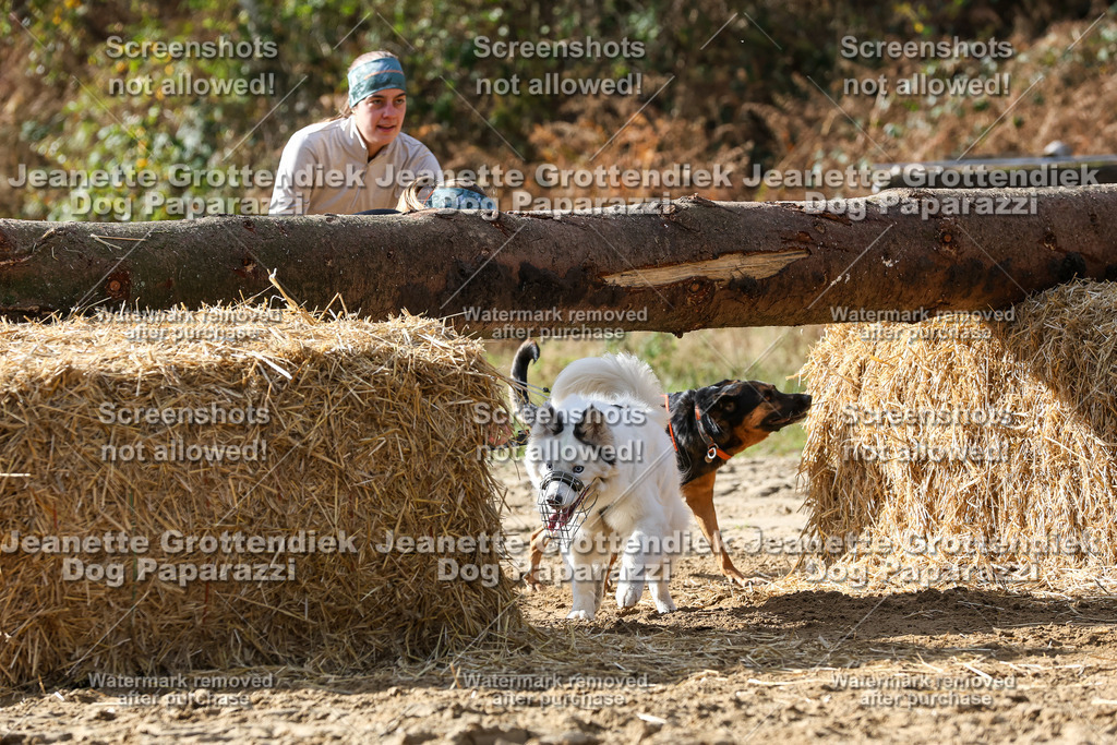 Dog Paparazzi - Strongdog 10-25-5661 | Dog Paparazzi Jeanette Grottendiek Fotografie & Videografie - Realisiert mit Pictrs.com
