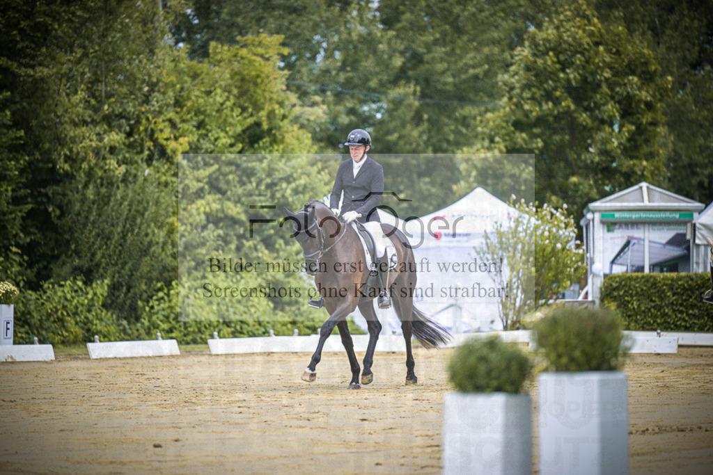DOS_0619 | Entdecke hochwertige Reitturnierfotos von Foto Oger. Professionell, emotional und authentisch – jetzt Lieblingsmomente im Shop bestellen.Deutschlandweite Turnierfotografie. - Realisiert mit Pictrs.com