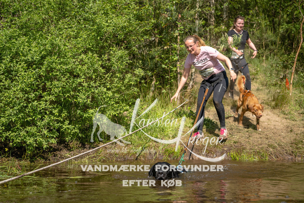 1014DKK990209 | kk-dogfotos