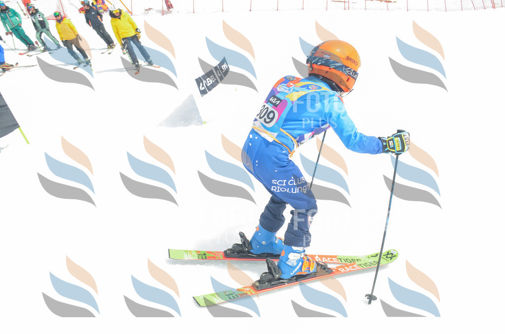 _ELE8377 | holidayphoto