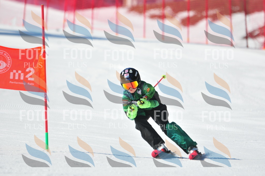 C3071 | holidayphoto