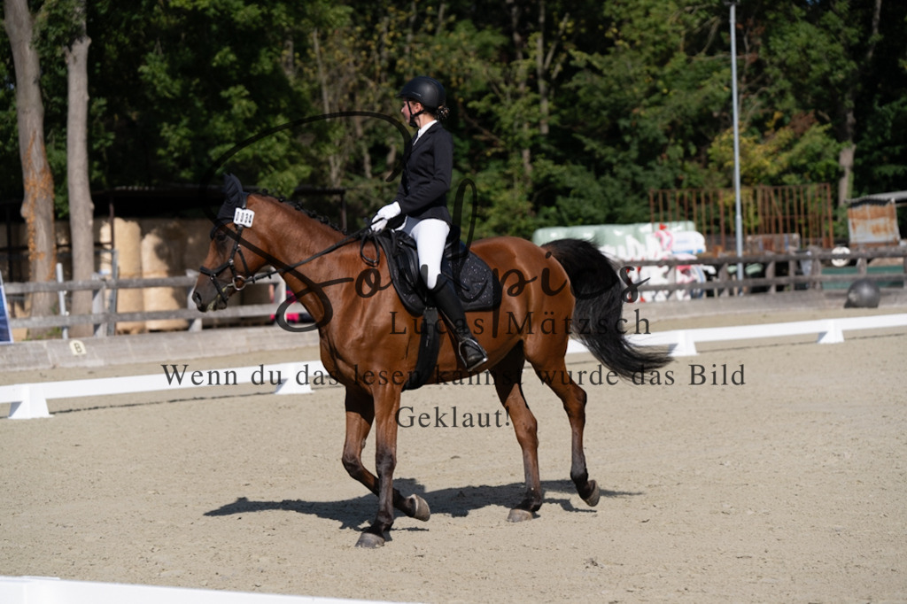 A7V06948 | Pferdefotograf