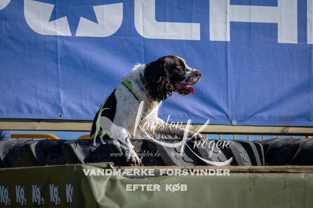 1011_ZZ97823 | kk-dogfotos