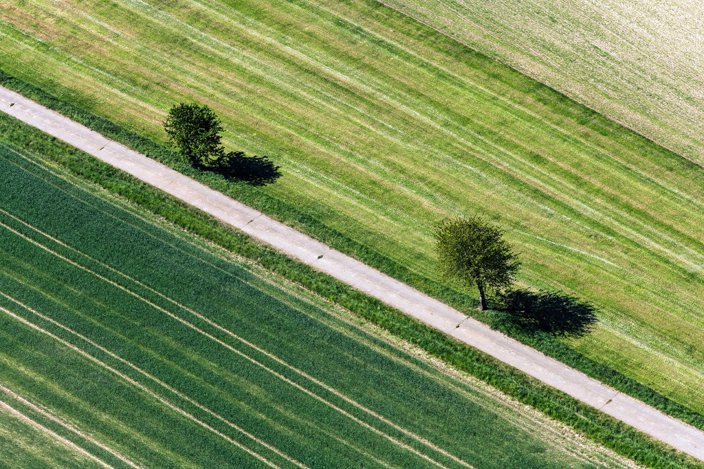 dr__dsc9386.jpg | FELDATAL 08.05.2018 Baumreihe an einer Landstraße an einem Feldrand in Feldatal im Bundesland Hessen, Deutschland. // Row of trees on a country road on a field edge in Feldatal in the state Hesse, Germany. Foto: Daniel Reiter