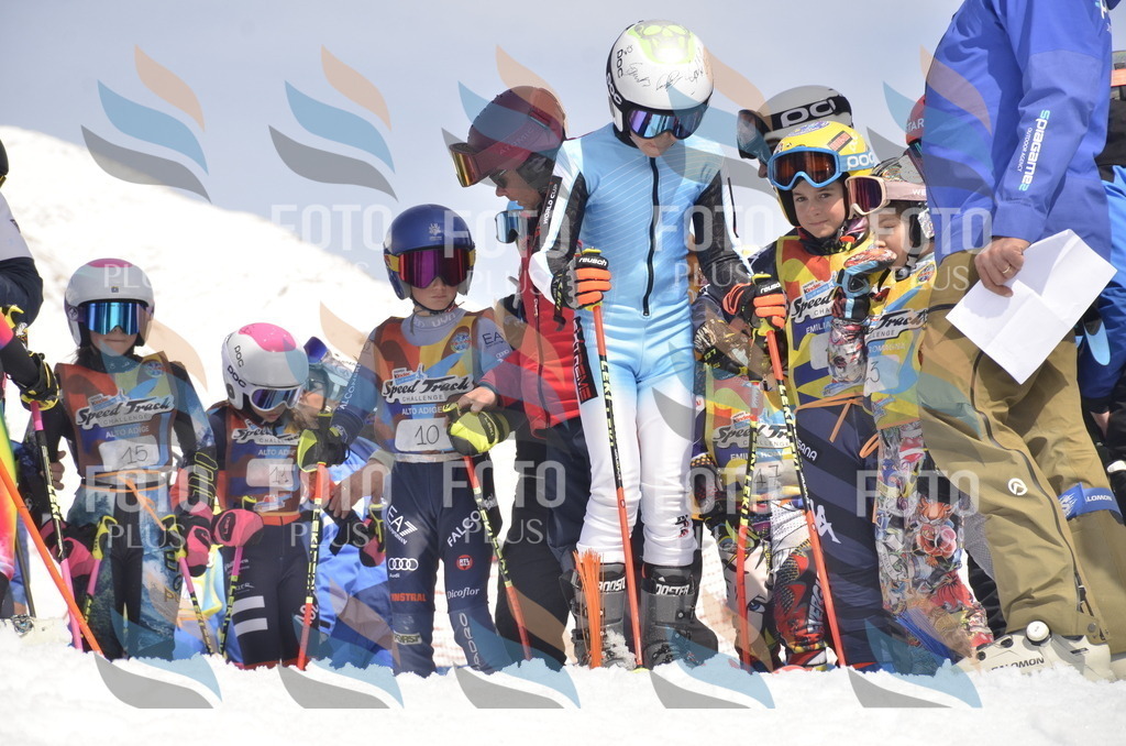 _ELE8549 | holidayphoto