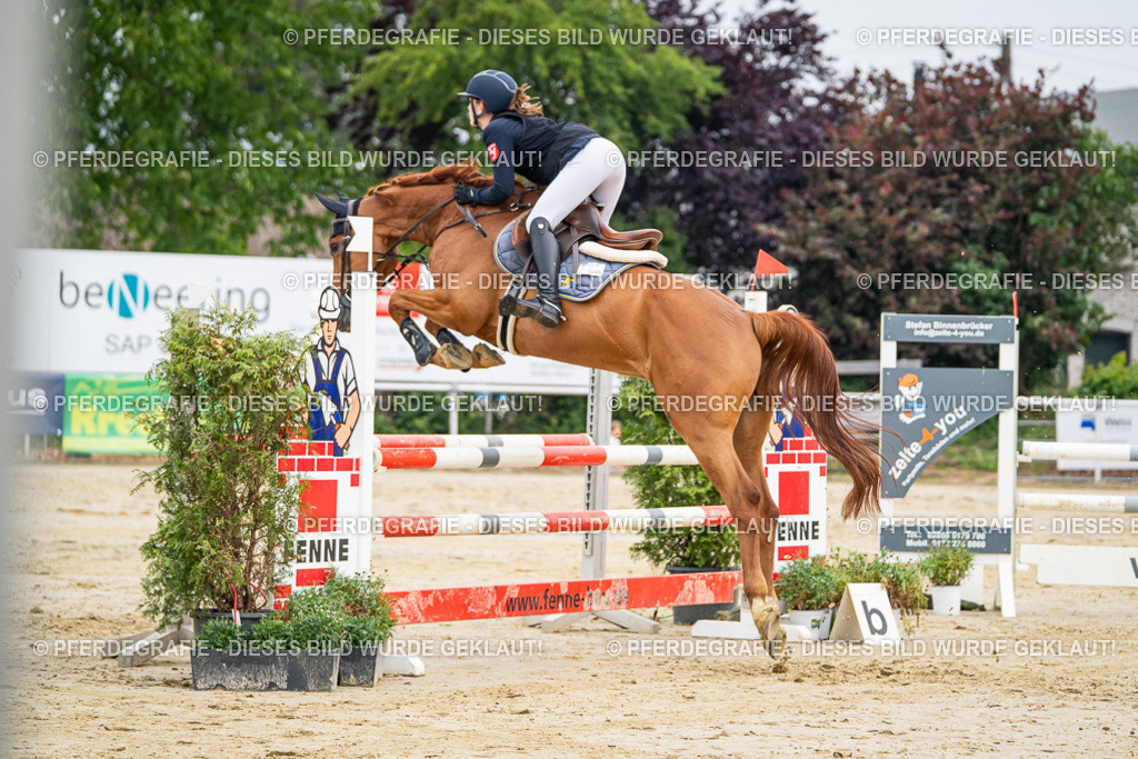 DSC09489 | Pferdegrafie