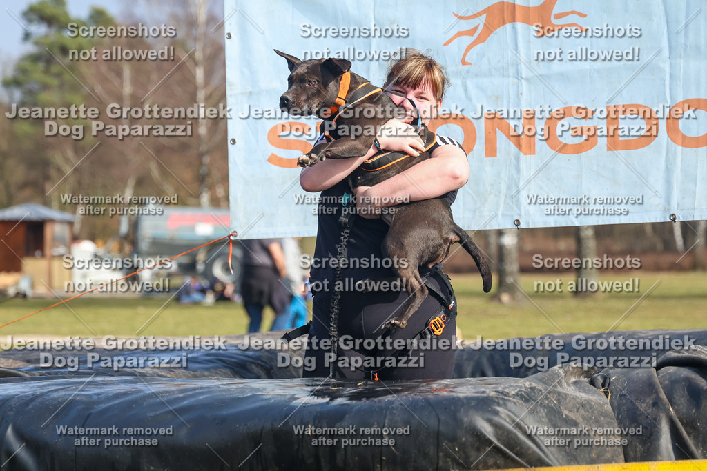 Dog Paparazzi - Strongdog North Mrz26-3000 | Dog Paparazzi Jeanette Grottendiek Fotografie & Videografie - Realisiert mit Pictrs.com