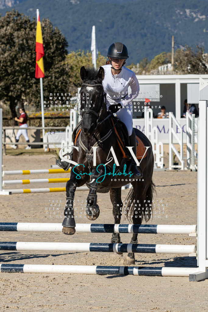 IMG_8317 | s-jay-photography - Realisiert mit Pictrs.com