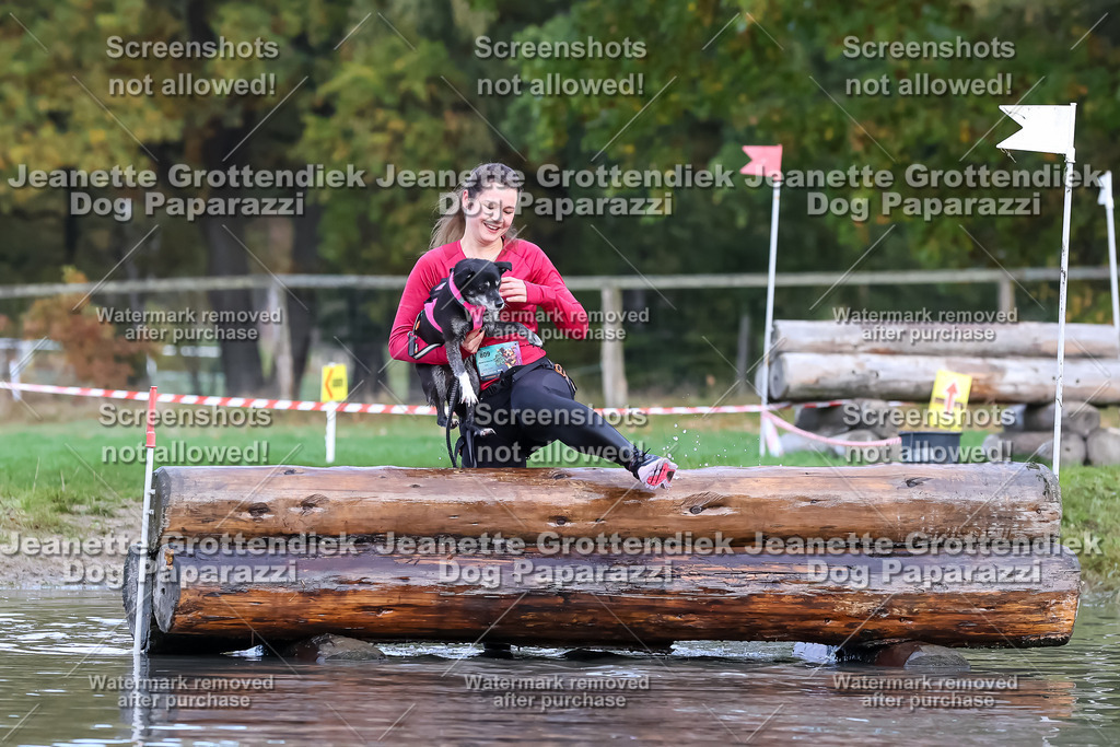 Dog Paparazzi - Strongdog 10-25-6810 | Dog Paparazzi Jeanette Grottendiek Fotografie & Videografie - Realisiert mit Pictrs.com