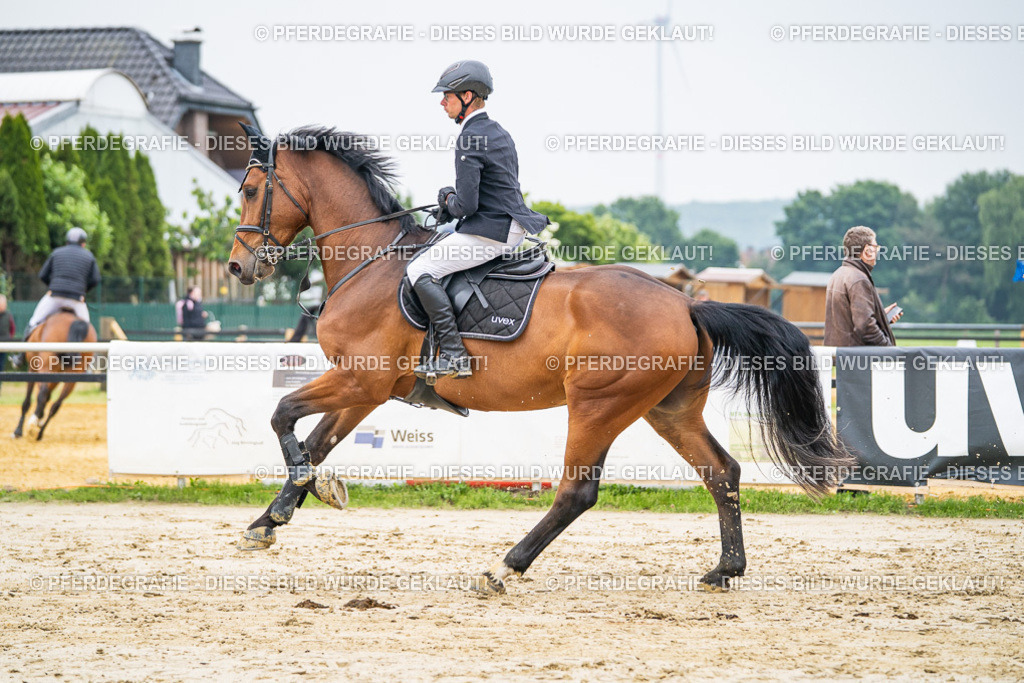 DSC00322 | Pferdegrafie