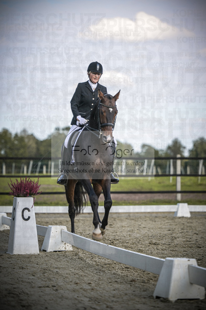 DOS_4071 | Entdecke hochwertige Reitturnierfotos von Foto Oger. Professionell, emotional und authentisch – jetzt Lieblingsmomente im Shop bestellen.Deutschlandweite Turnierfotografie. - Realisiert mit Pictrs.com