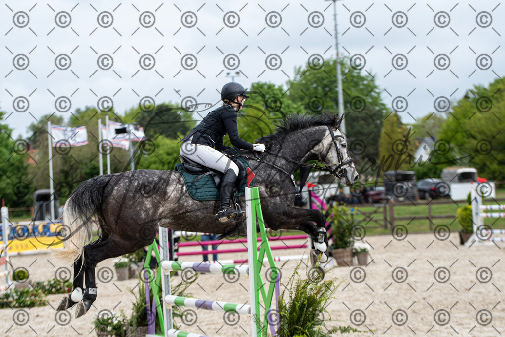 KPT_8950 | andre_photographic