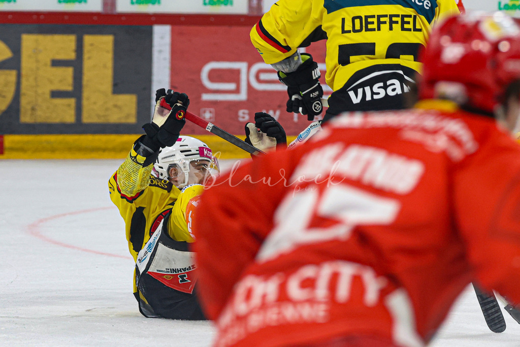 EHCB vs SCB 20260312_wb-4348 | Sportbilder, Sportfotograf, Hochzeits- und Eventfotografin, Flugshows, Portraits und Tiershooting, Aviation, Downhill, Nationalleague, Swissleague, International