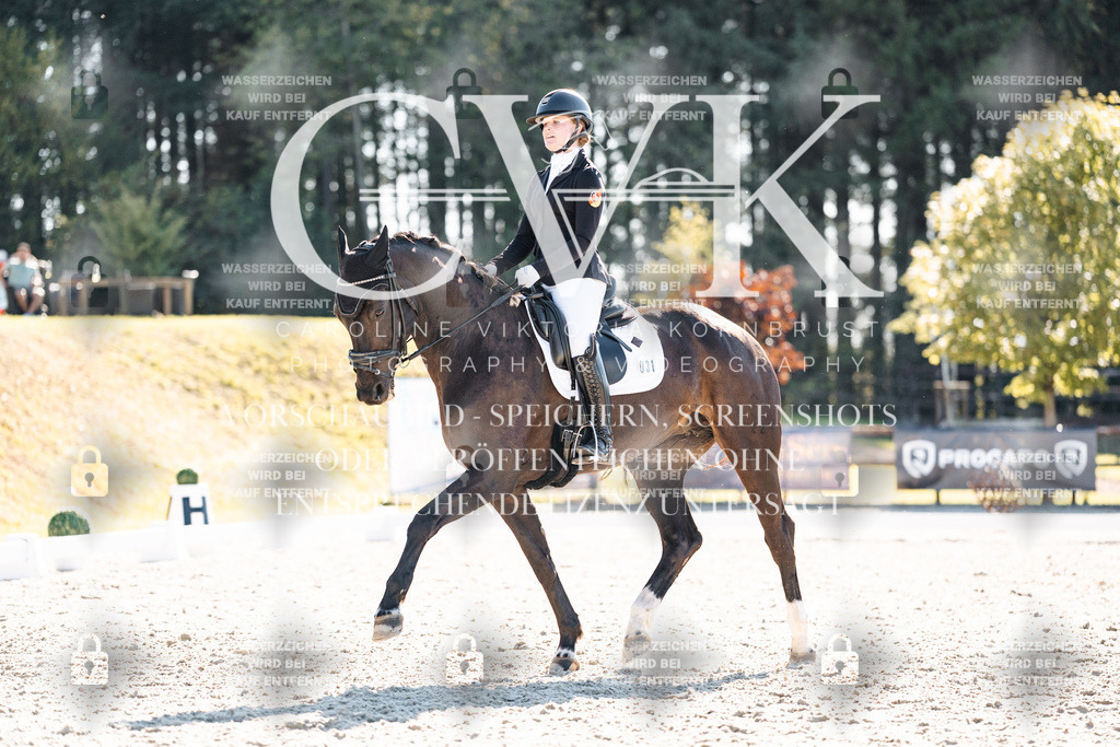 CK905822 | Turnierfotografie Pferdefotografie Trier Rheinland-Pfalz Pferdesport Reitsport Tierfotografie Sportfotografie Pferdevideo Pferdevideografie Equestrianvideography equestrianphotography  - Realisiert mit Pictrs.com