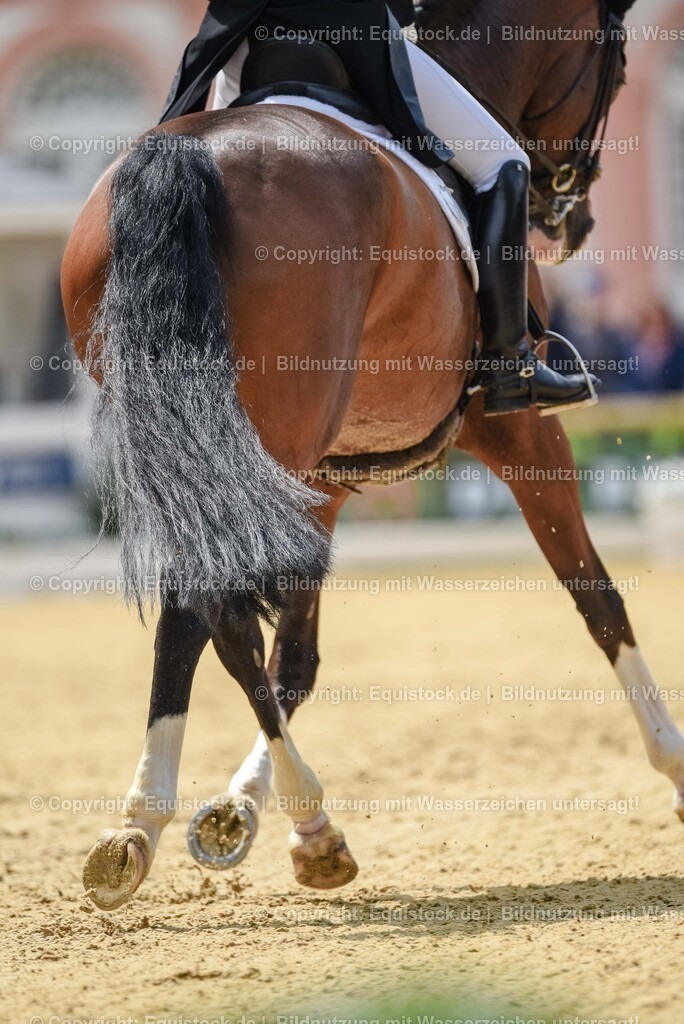 20250607_1_GP-Tour_Dressage_0164 | Foto: Thomas Hartig