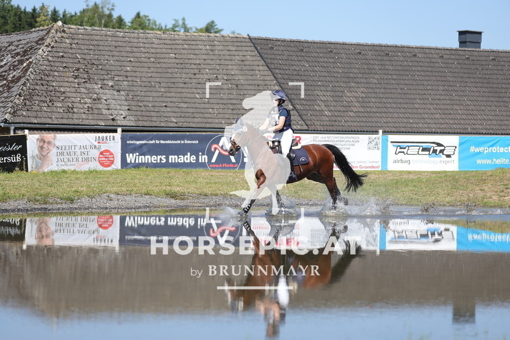 0P6A3485 | Willkommen bei Brunnmayr - Design & Fotografie – Ihrem Spezialisten für Reitturniere und Pferdeveranstaltungen in Oberösterreich, Salzburg und Bayern! Seit über 17 Jahren sind wir leidenschaftlich dabei.