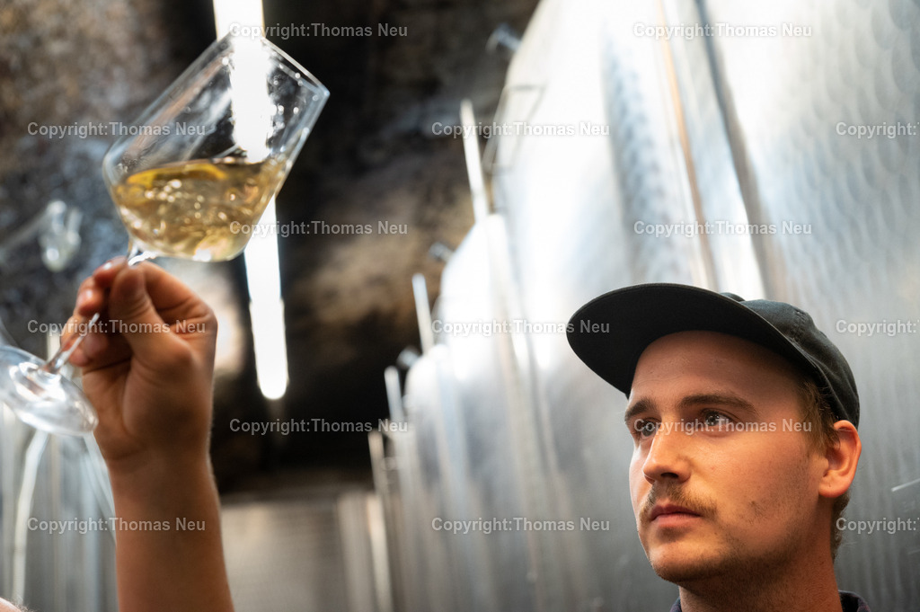 DSC_9454 | Winzerfestbeilage 2022, Weingut Jäger, Michael und Sebastian Jäger, Bild: Thomas Neu