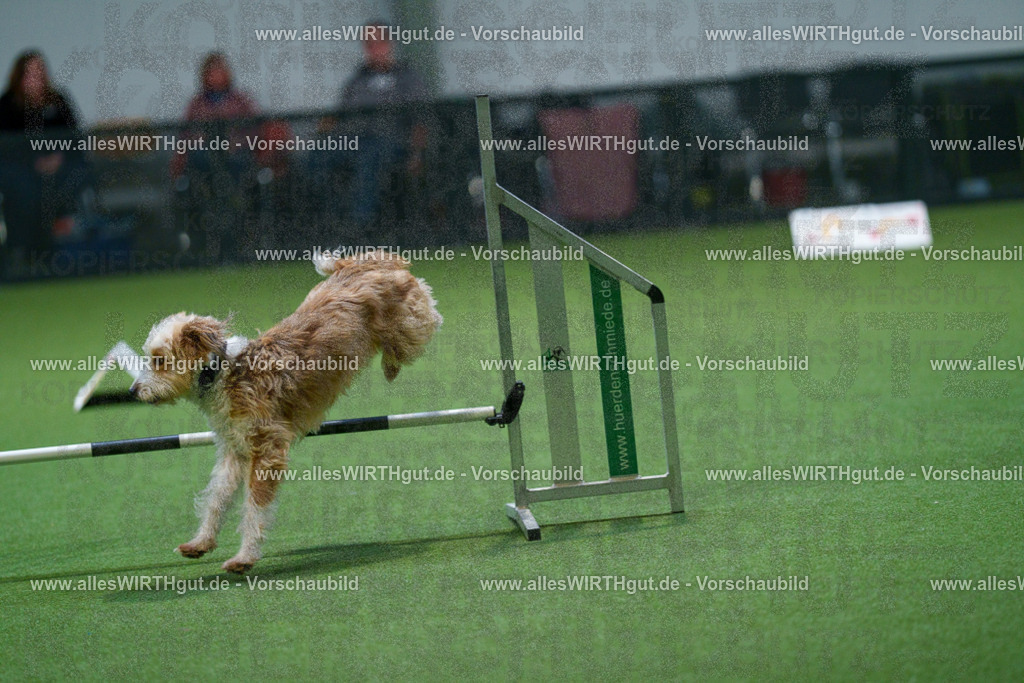 7R503386 | Professionelle Tierfotografie in Mönchengladbach von Daniel Wirth (allesWIRTHgut). Liebevolle & natürliche Bilder von Hunden & Katzen für unvergessliche Erinnerungen.