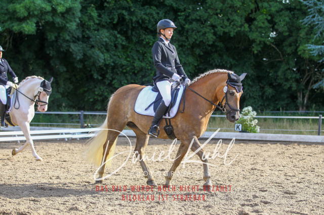 DKP45506 | Turniersportfotografie; Pferdefotografie; Dressurfotografie