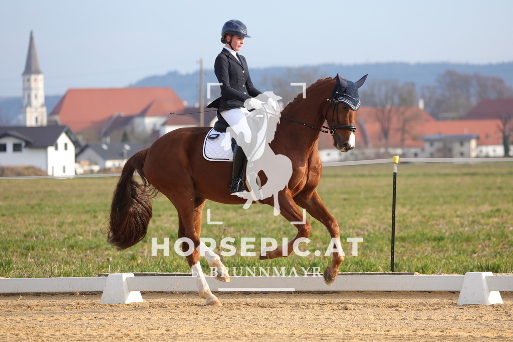 0P6A5953 | Willkommen bei Brunnmayr - Design & Fotografie – Ihrem Spezialisten für Reitturniere und Pferdeveranstaltungen in Oberösterreich, Salzburg und Bayern! Seit über 17 Jahren sind wir leidenschaftlich dabei.
