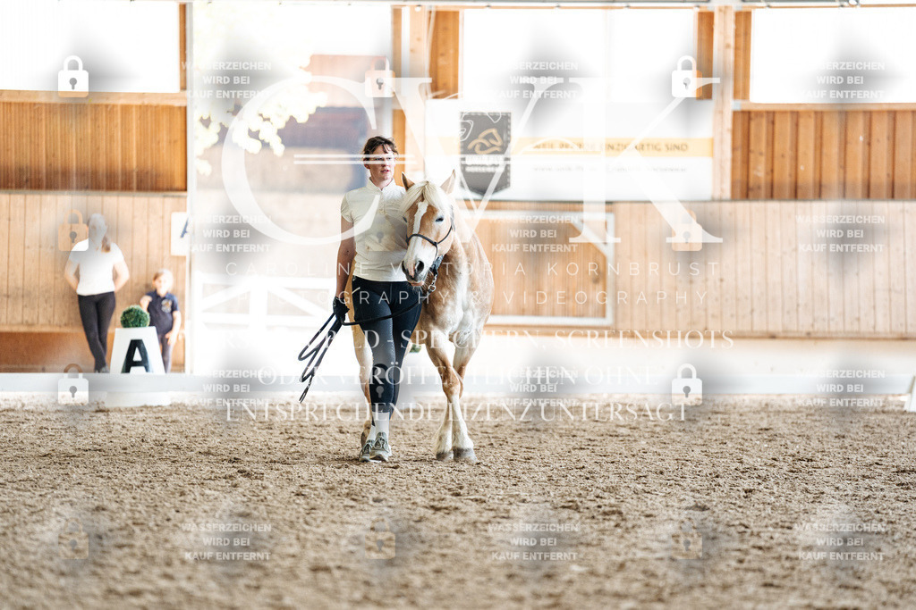 CK907849 | Turnierfotografie Pferdefotografie Trier Rheinland-Pfalz Pferdesport Reitsport Tierfotografie Sportfotografie Pferdevideo Pferdevideografie Equestrianvideography equestrianphotography  - Realisiert mit Pictrs.com